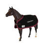 View Item Breyer Traditional 1439 Hickstead with Blanket